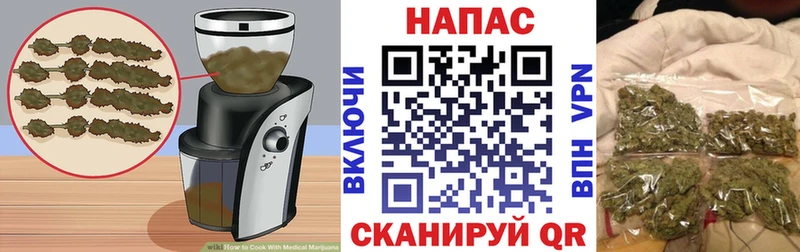 Cannafood конопля закладки Елизаветинская