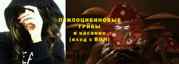 jwh Богородск