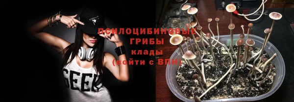прущие грибы Богородицк