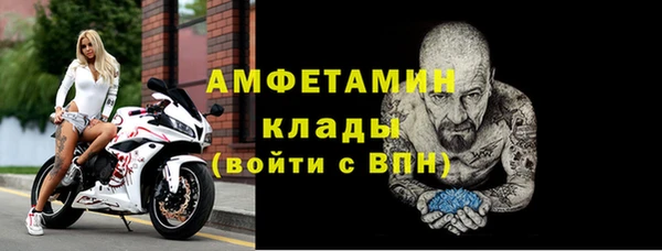прущие грибы Богородицк