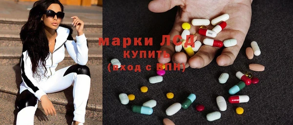 твердый Бородино