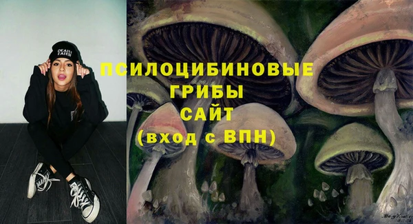 прущие грибы Богородицк