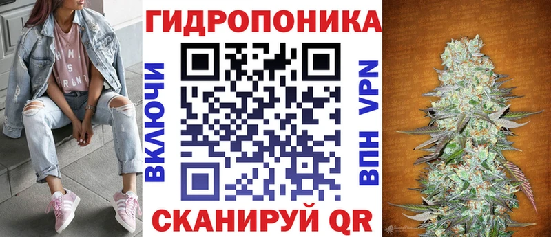 где найти   Елизаветинская  Канабис сатива 